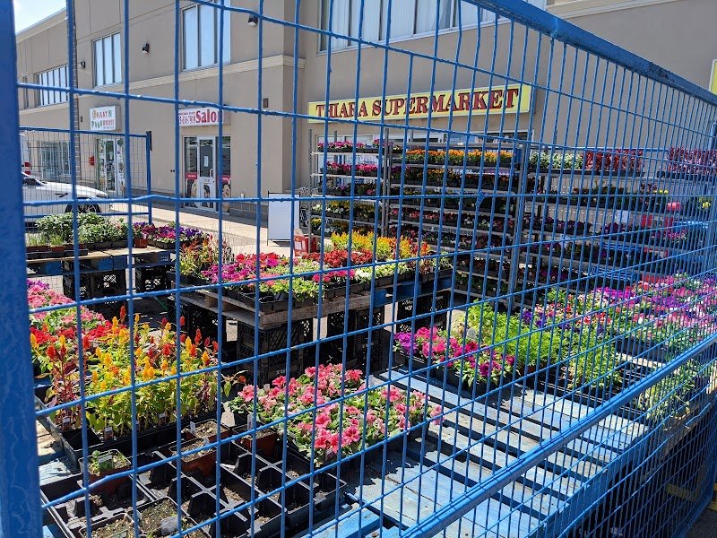 Thiara Supermarket