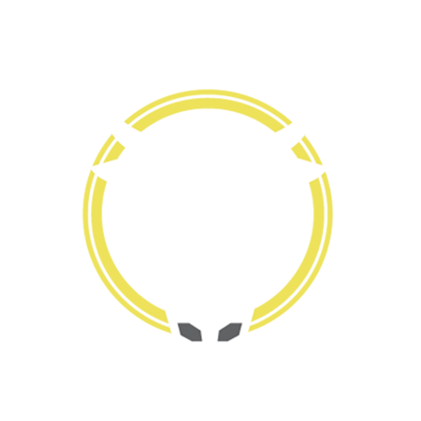Holy Cow Japanese