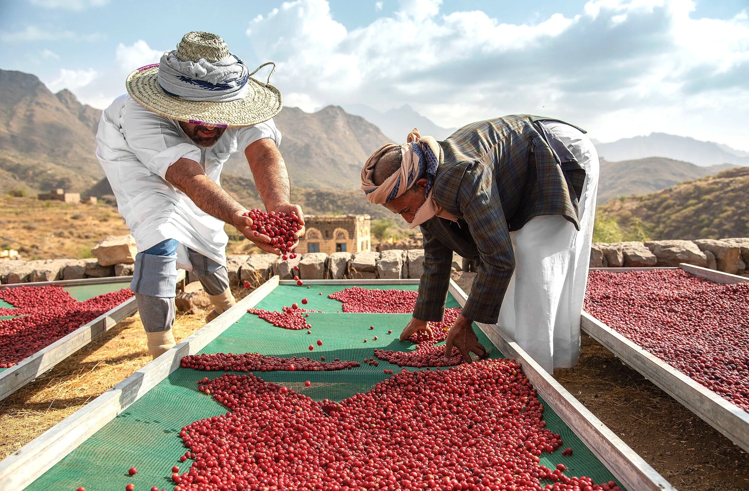 Qamaria Yemeni Coffee Co.